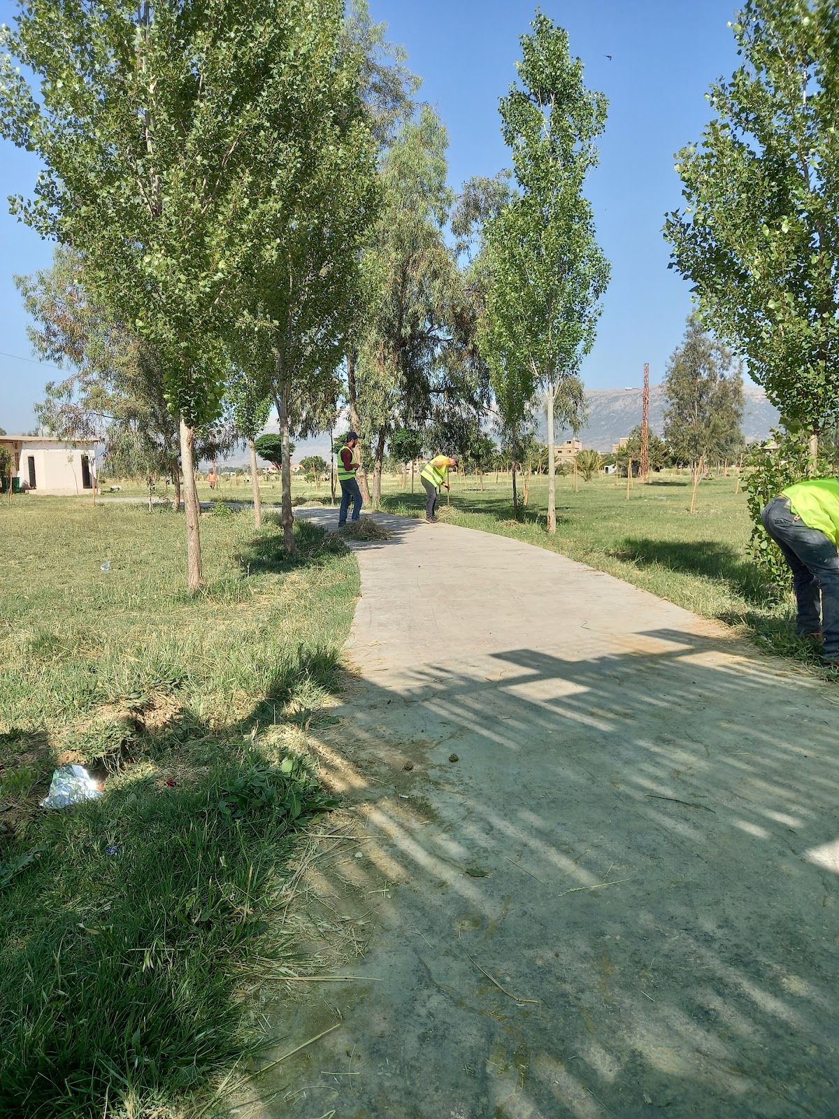 Hadiqat Ghazza — photograph 3