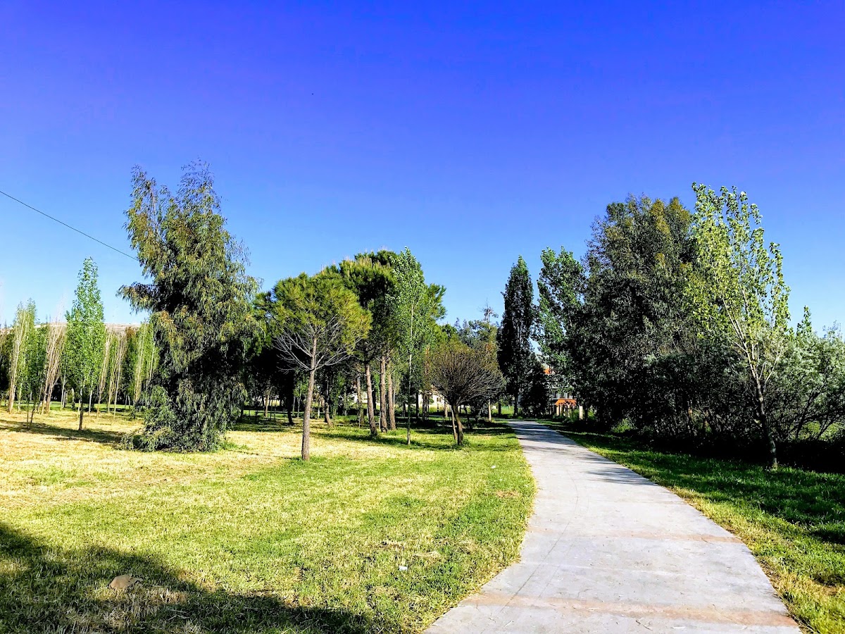 Hadiqat Ghazza — photograph 4