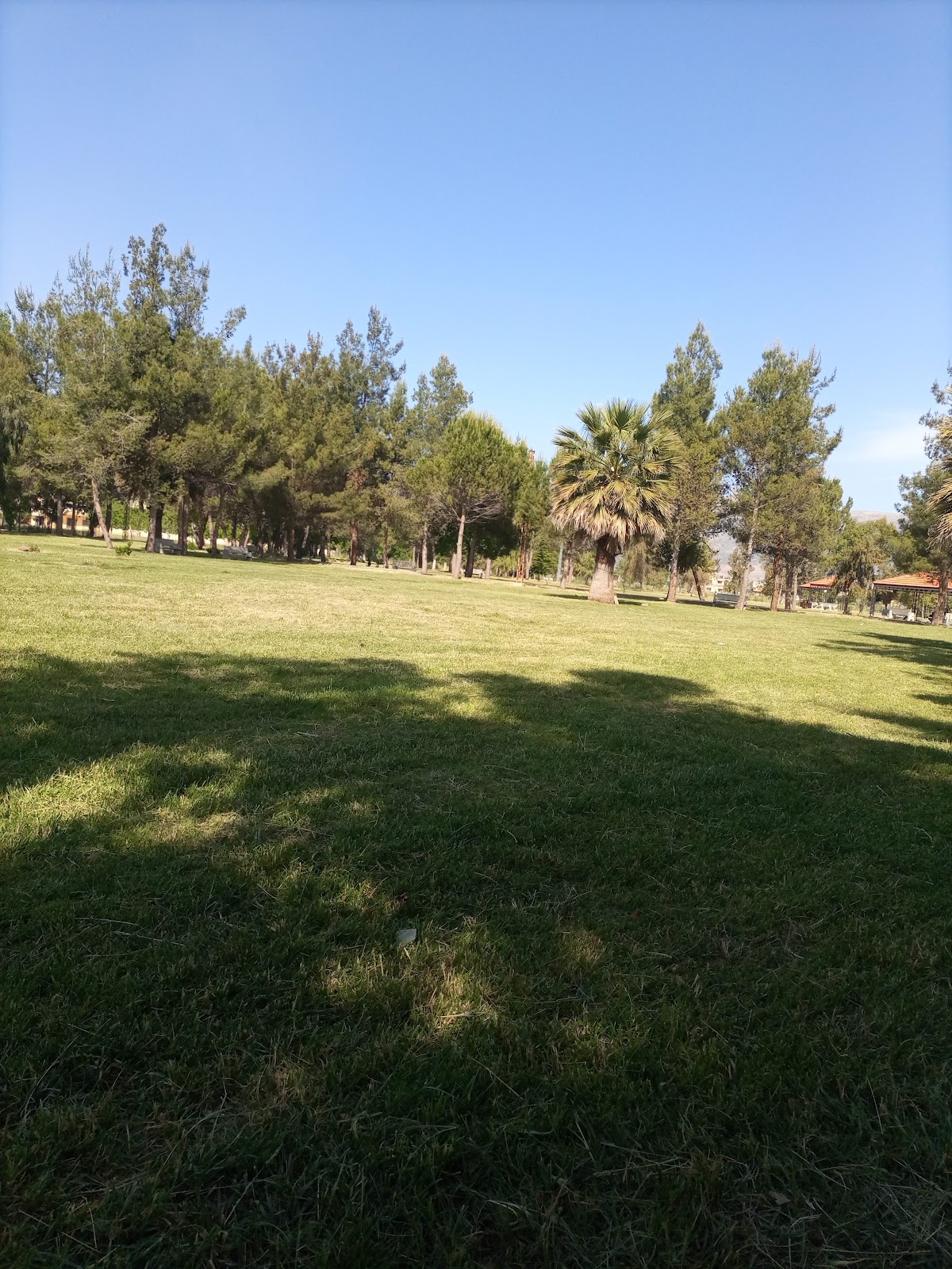 Hadiqat Ghazza — photograph 5