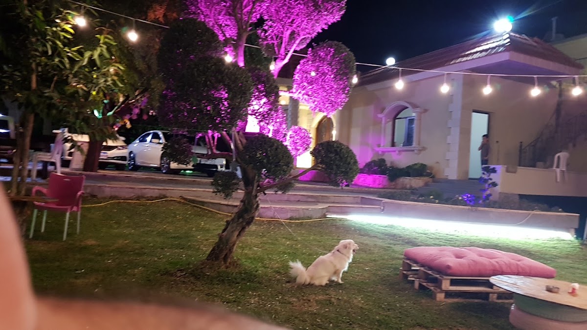 La mashat — photograph 6