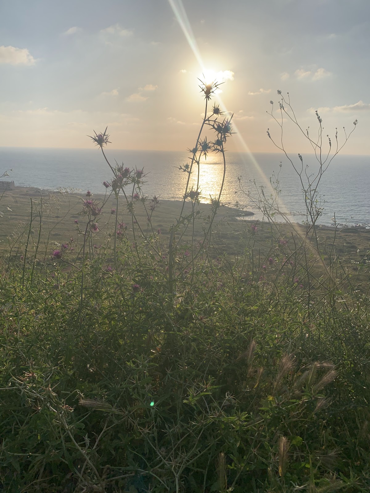 The Rock of Hamat — photograph 5