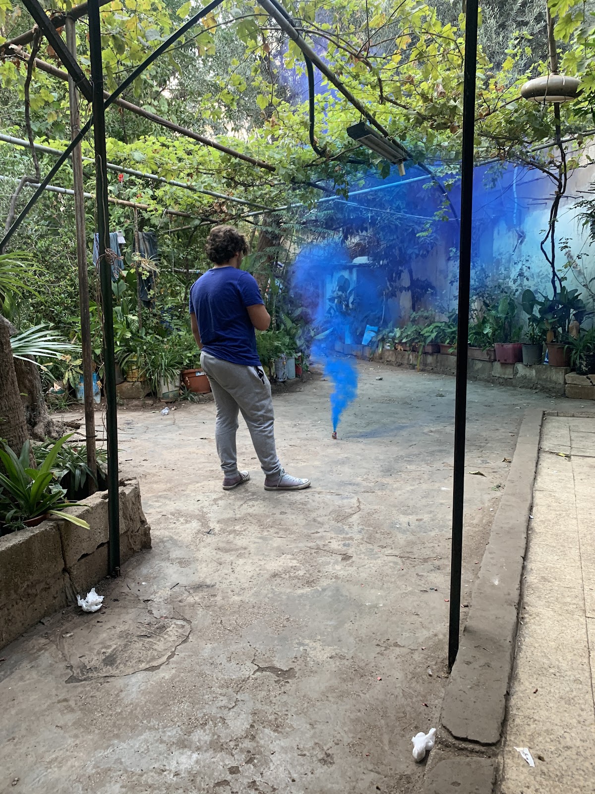 garden younes — photograph 3