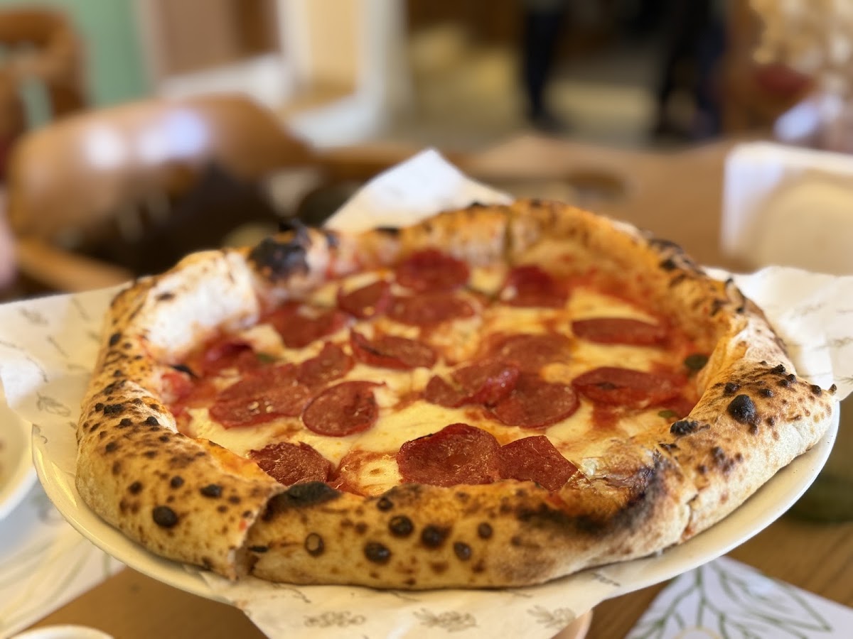 Olivetto Italian Cuisine — photograph 3
