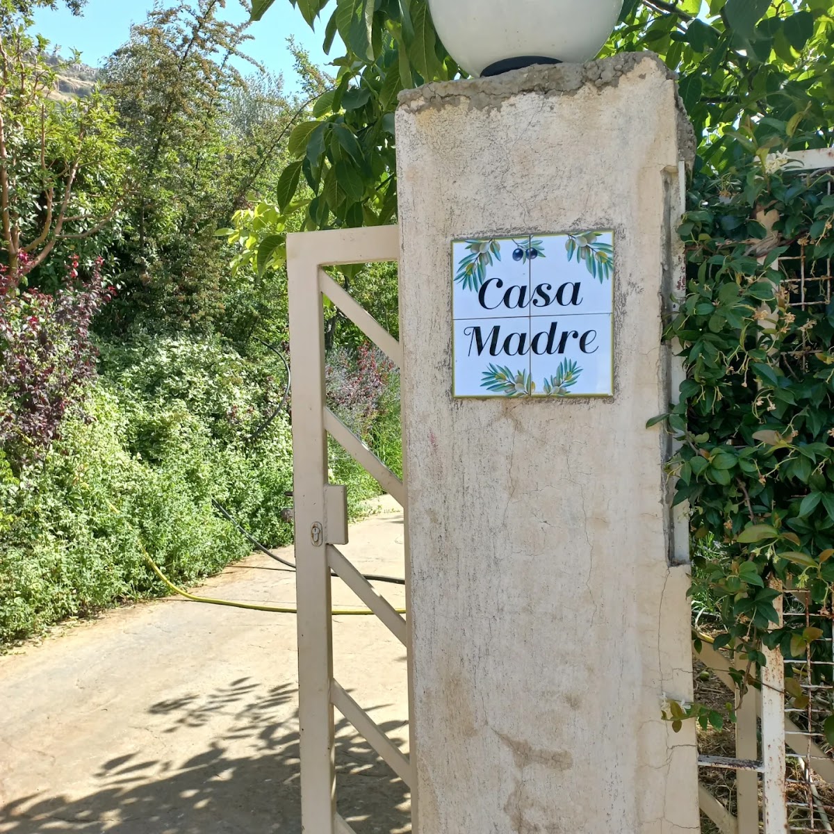 Casa Madre — photograph 2