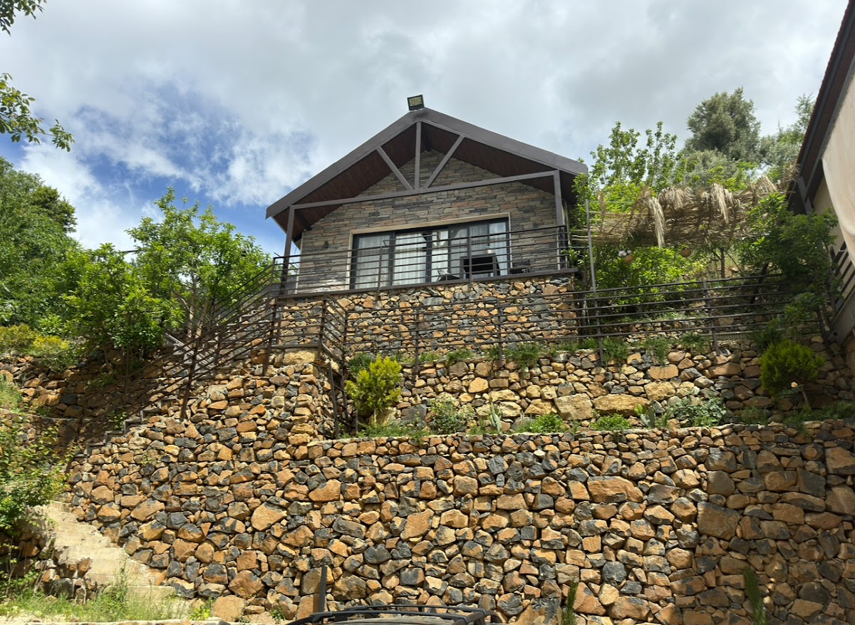 Amarillis — photograph 5