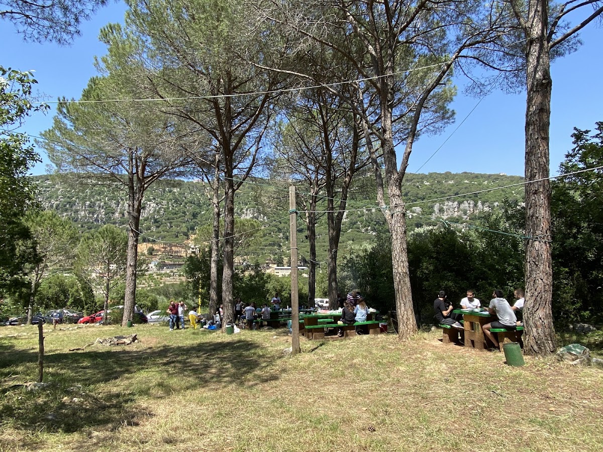 Picnic Land