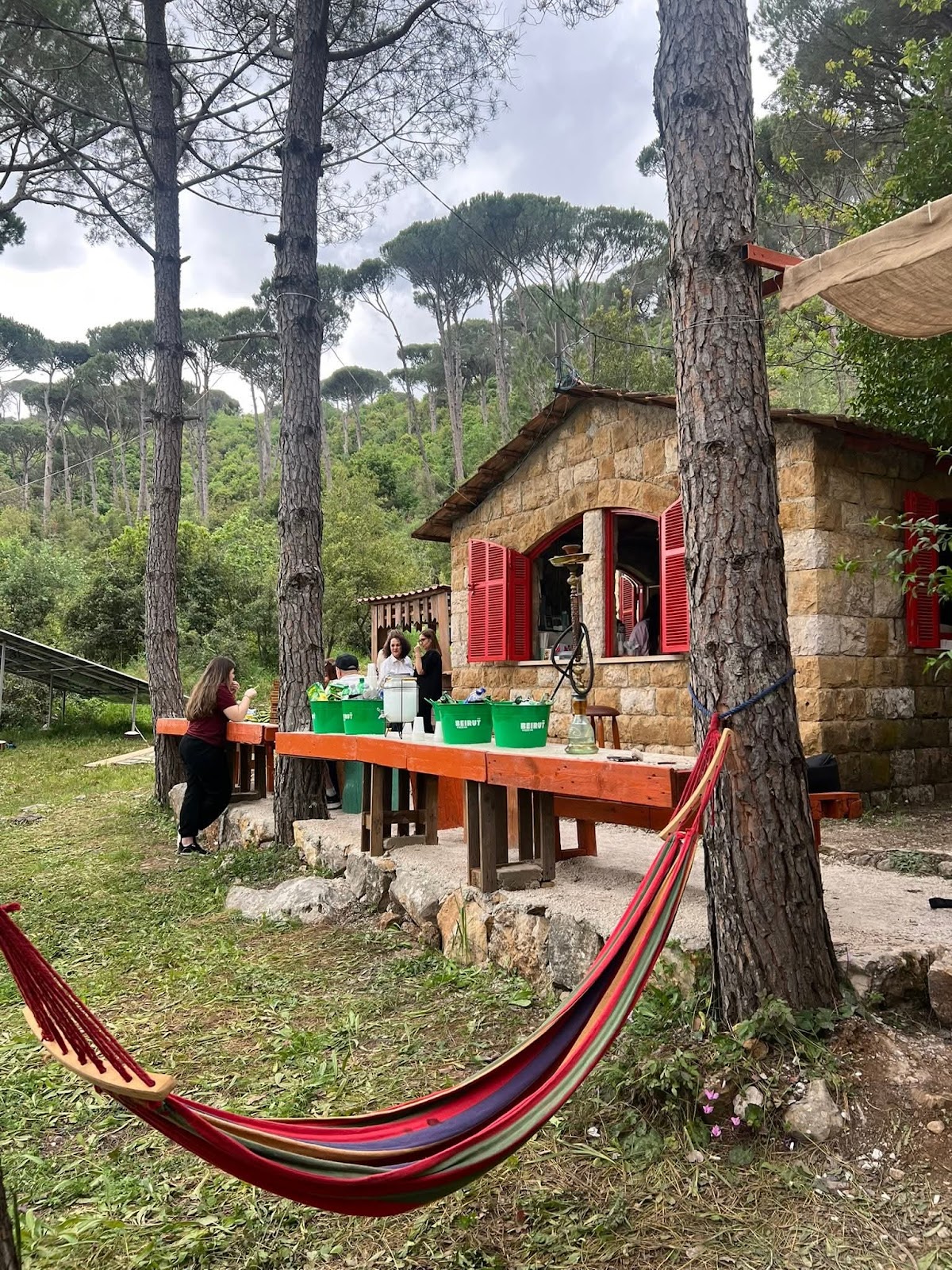 Picnic Land — photograph 2