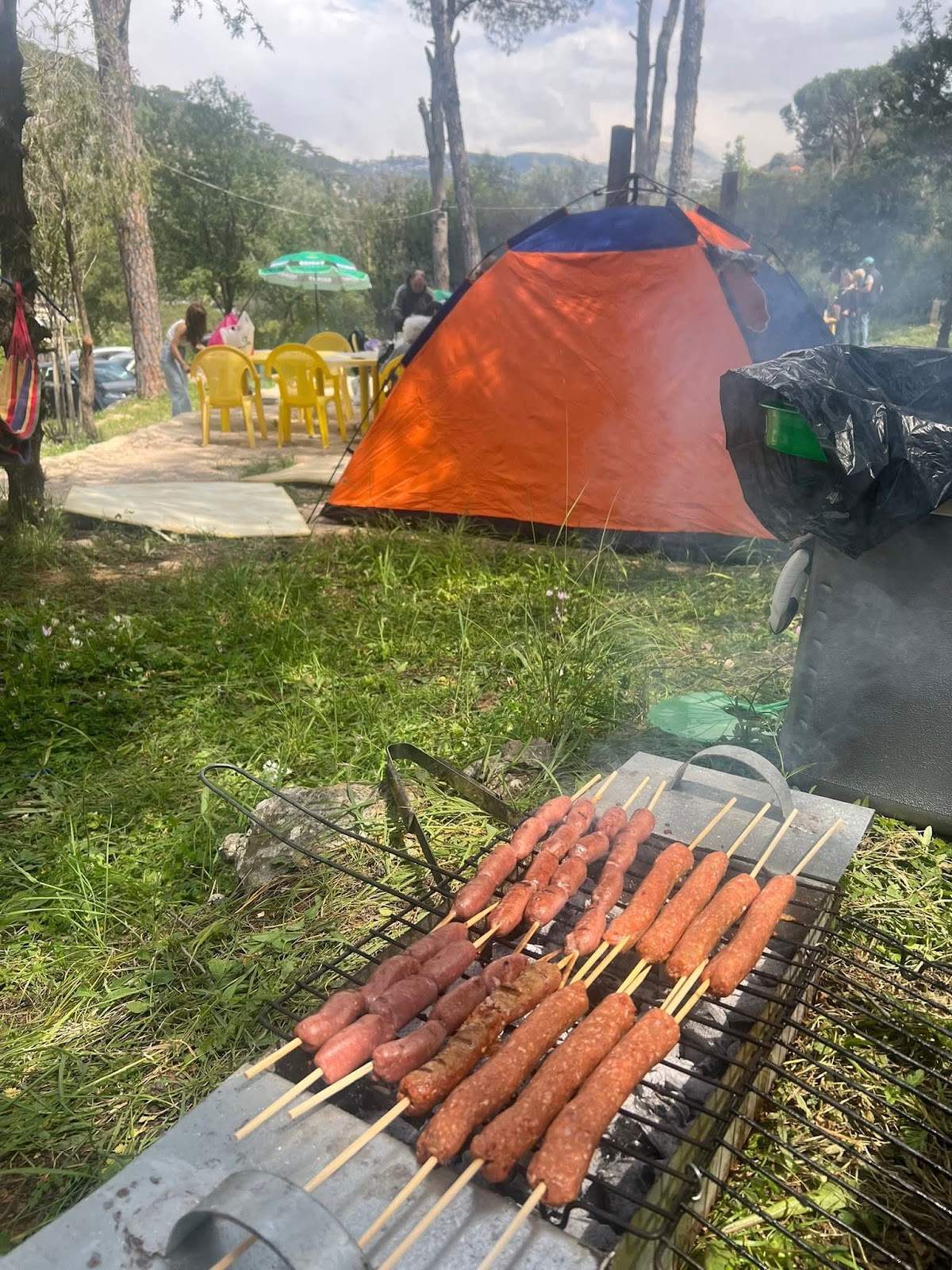 Picnic Land — photograph 3