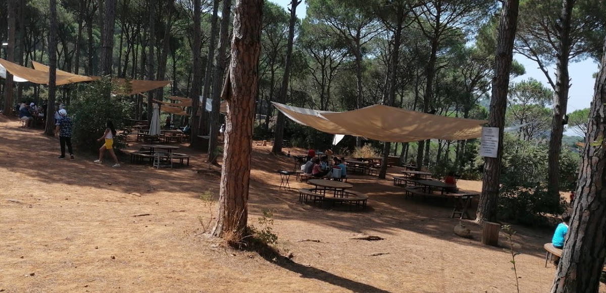 Picnic Land — photograph 6