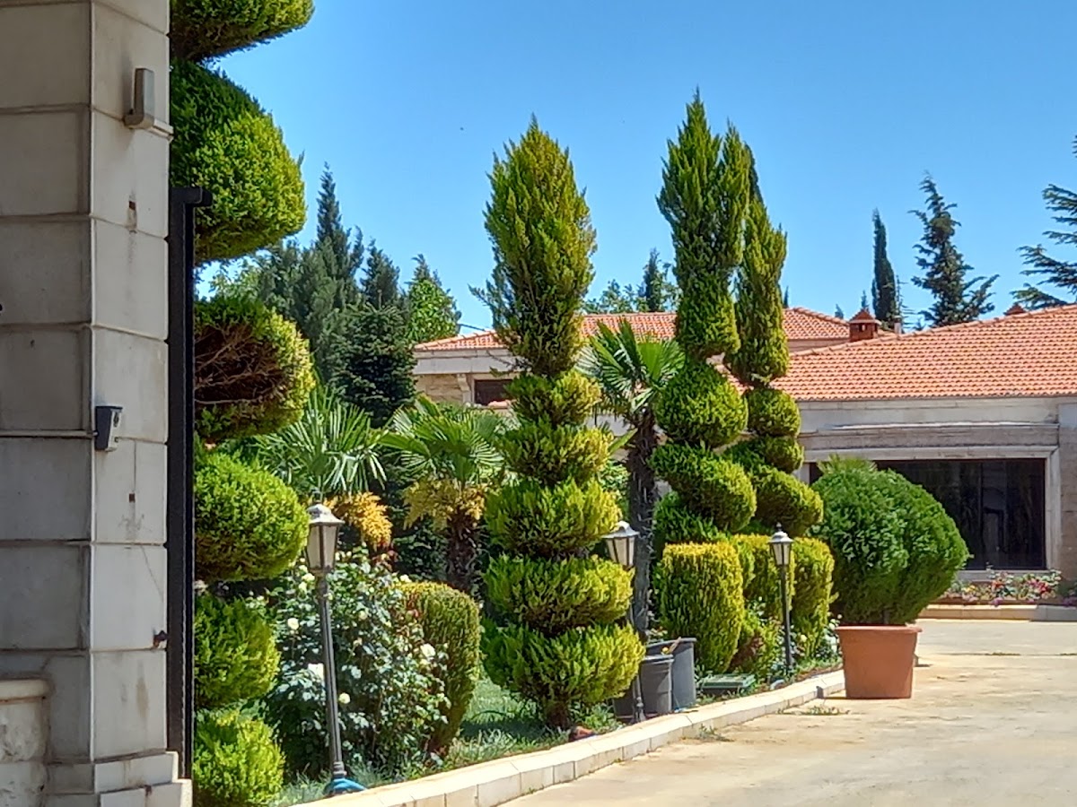 Balena Park