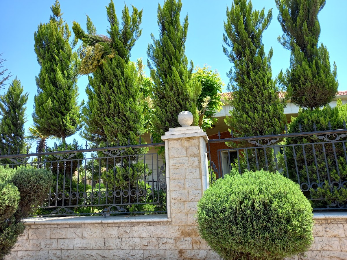 Balena Park — photograph 3