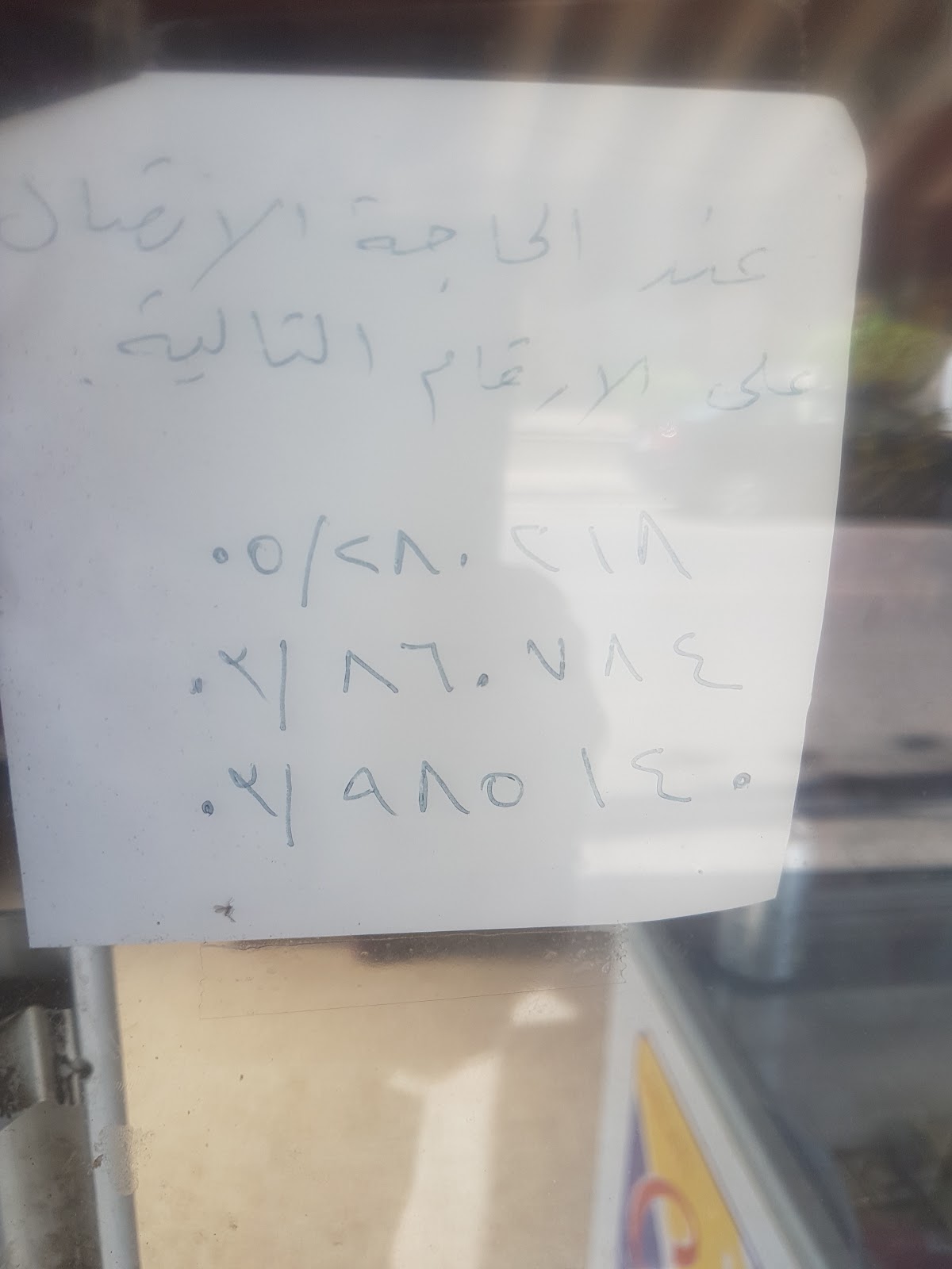 Sandweesh Al Sheikh — photograph 6