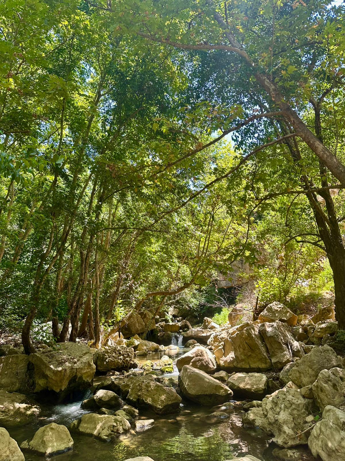 رشميا — photograph 2