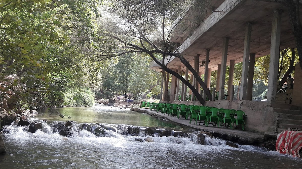 Al Zahraa Restaurant — photograph 3
