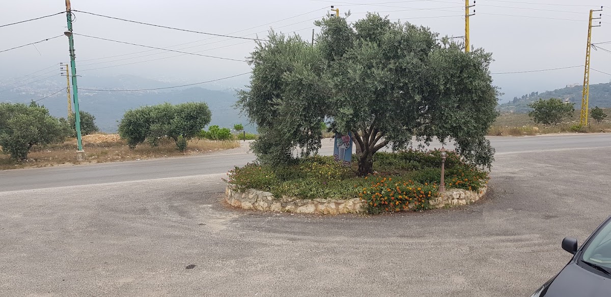 Olive Resturant — photograph 3