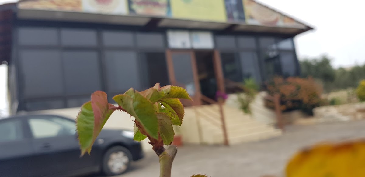 Olive Resturant — photograph 6