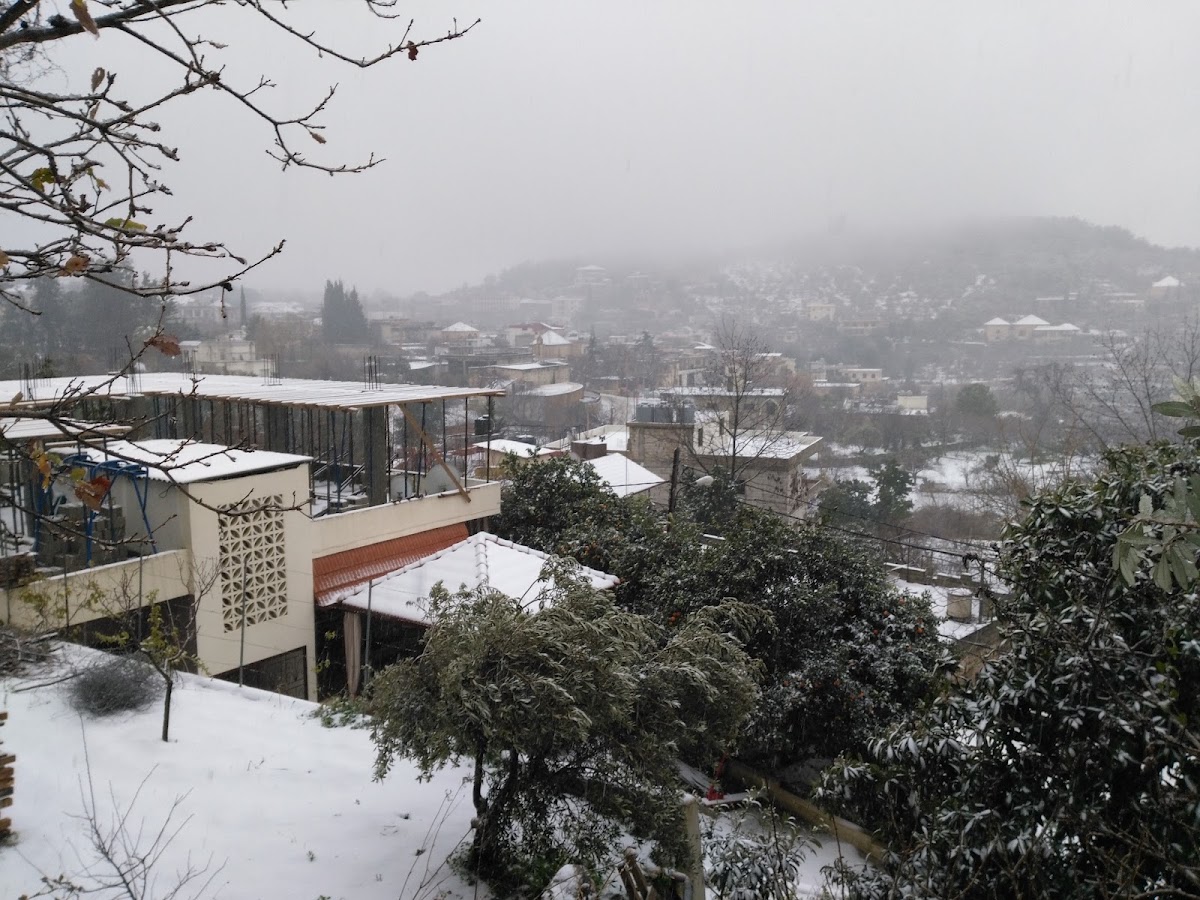 Nofaliya Restaurent & Café — photograph 5