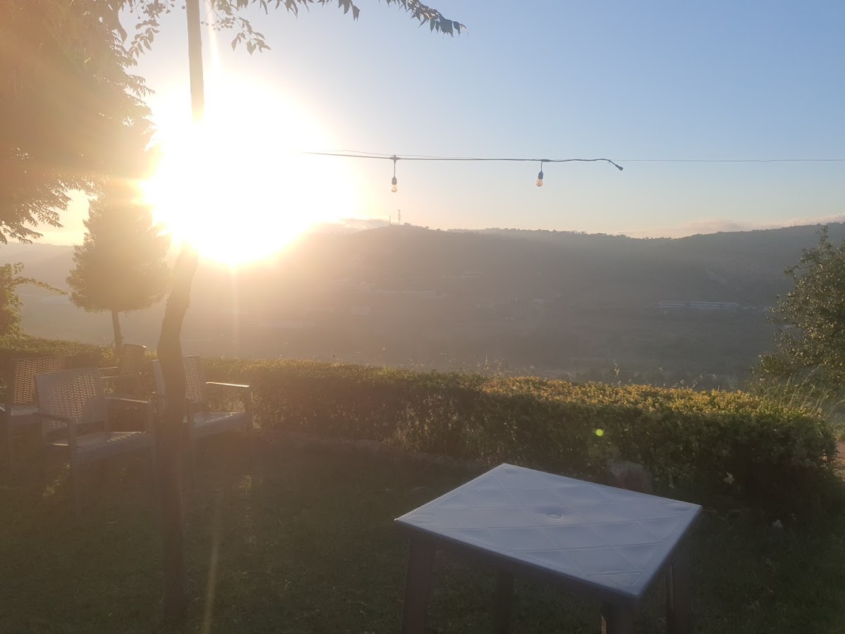 Restaurant antika — photograph 2