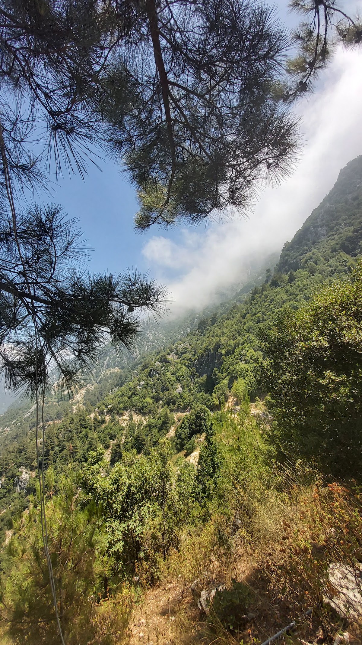 The Cliff Camp — photograph 3