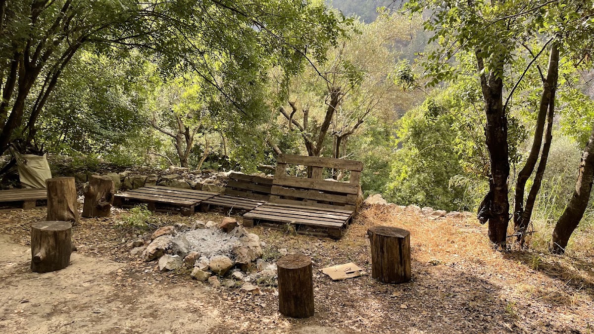 Gaia’s Camping — photograph 6