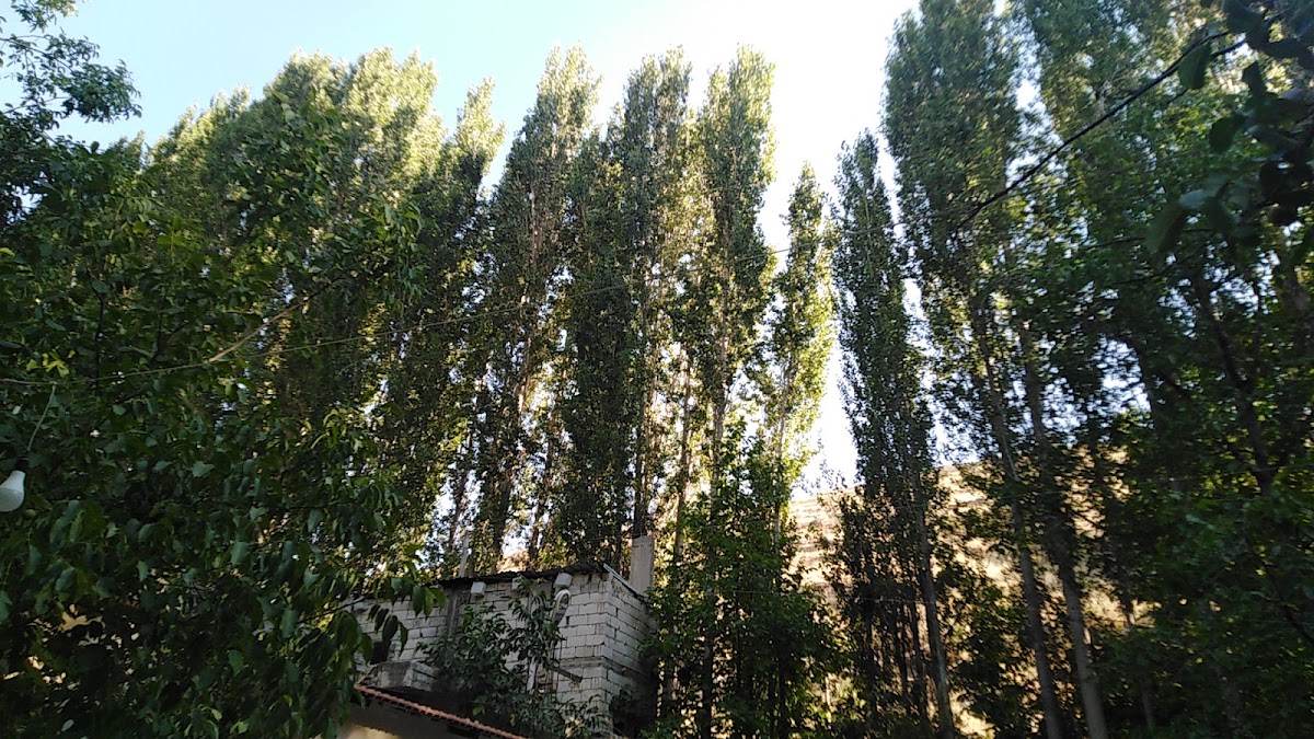 Montazah Al Reda — photograph 4