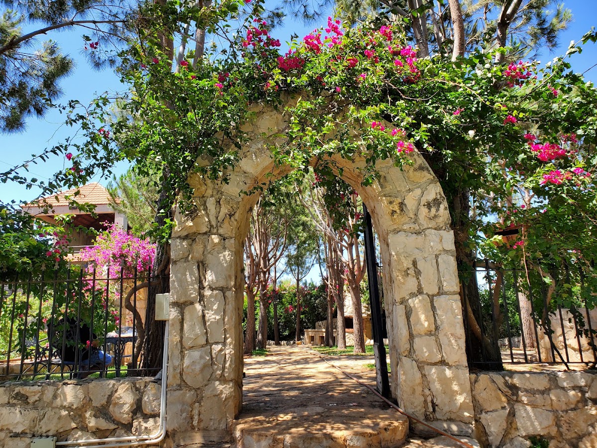 Dabboussi farm