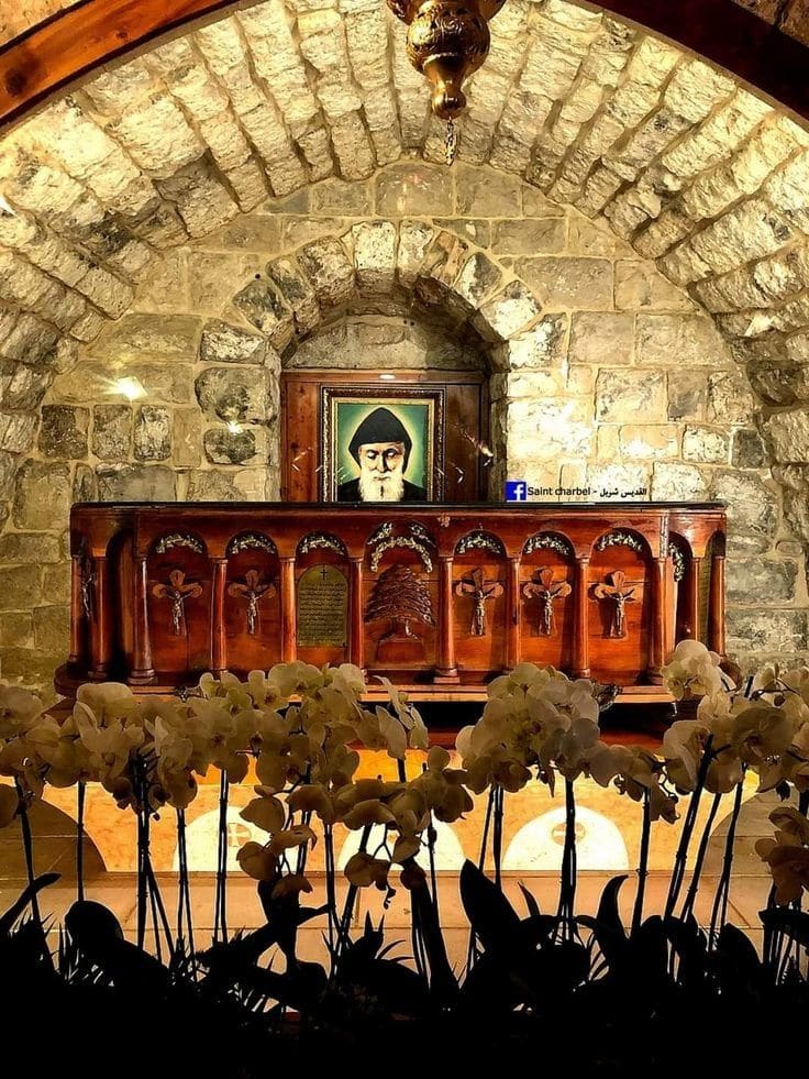 كنيسة مار شربل