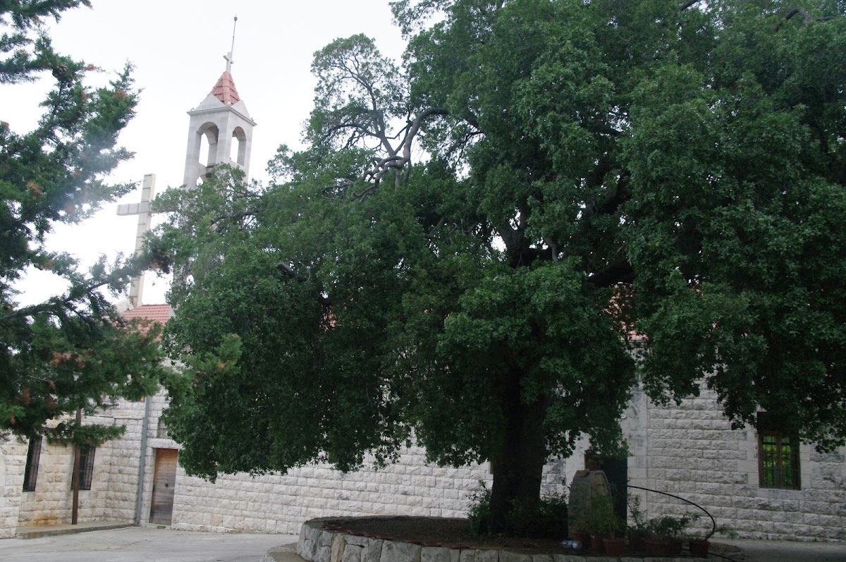 Benedictine Monastery — photograph 6
