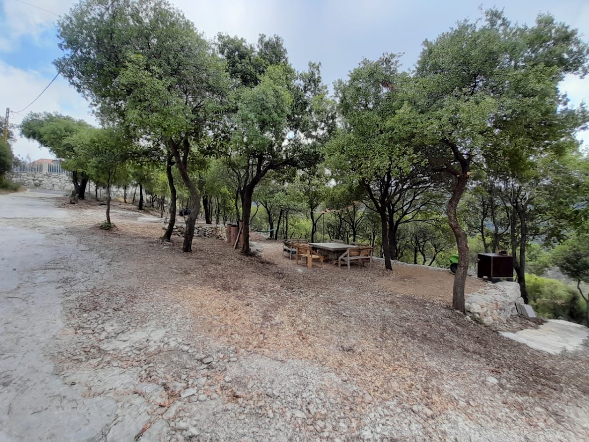 OAKS CAMP — photograph 2