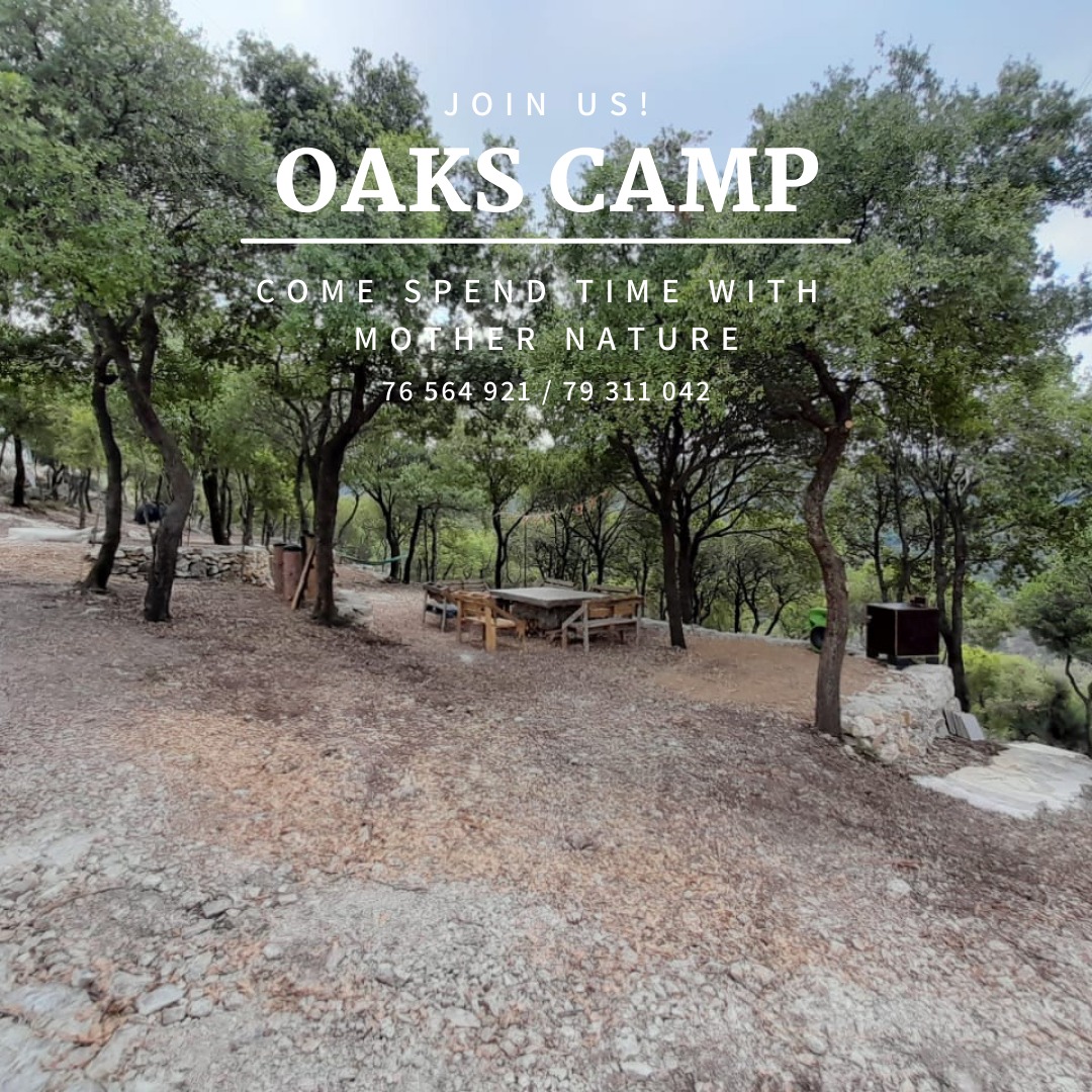 OAKS CAMP — photograph 4