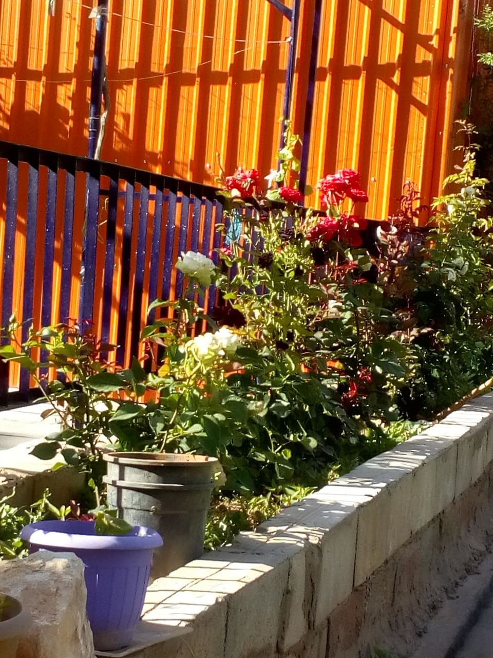 Ahmad Sleem Park