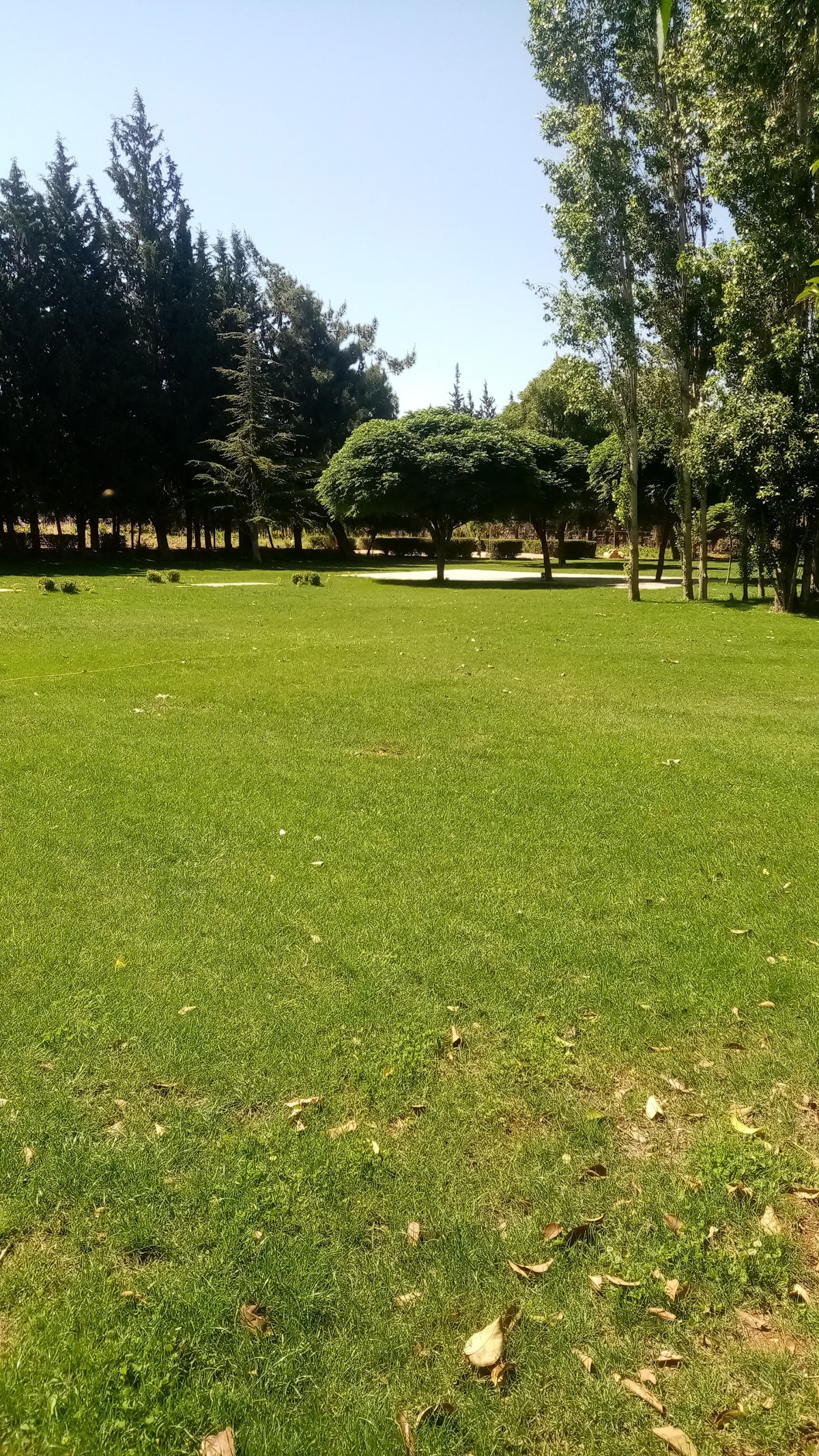 KANSO FARM — photograph 2