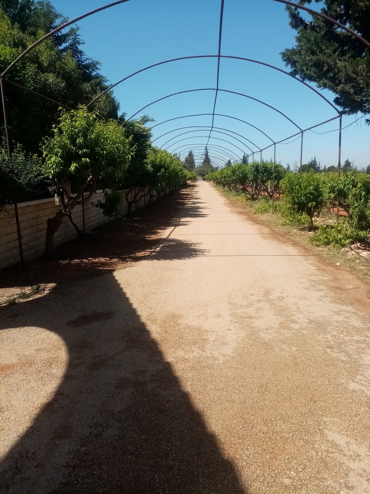 KANSO FARM — photograph 3