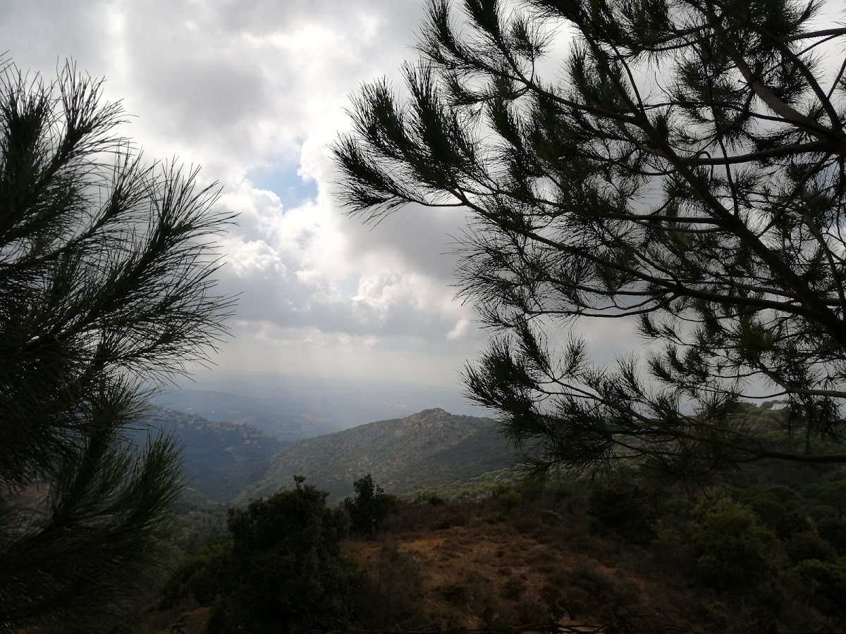 Istiraha Jar Al Amar — photograph 3